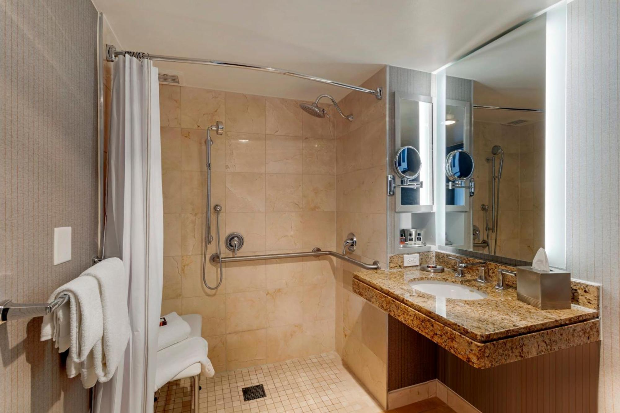 Accessible Deluxe Room with Roll-In Shower 1 Queen Bed