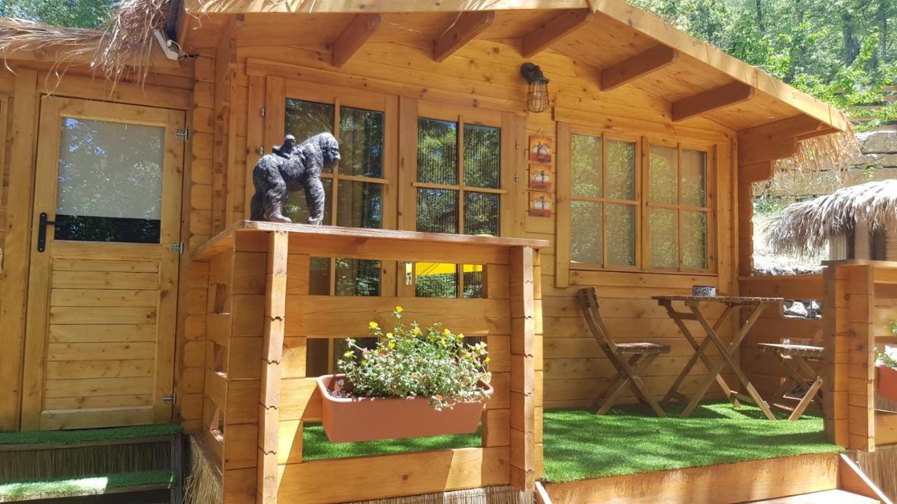 Doppelzimmer mit Gartenblick