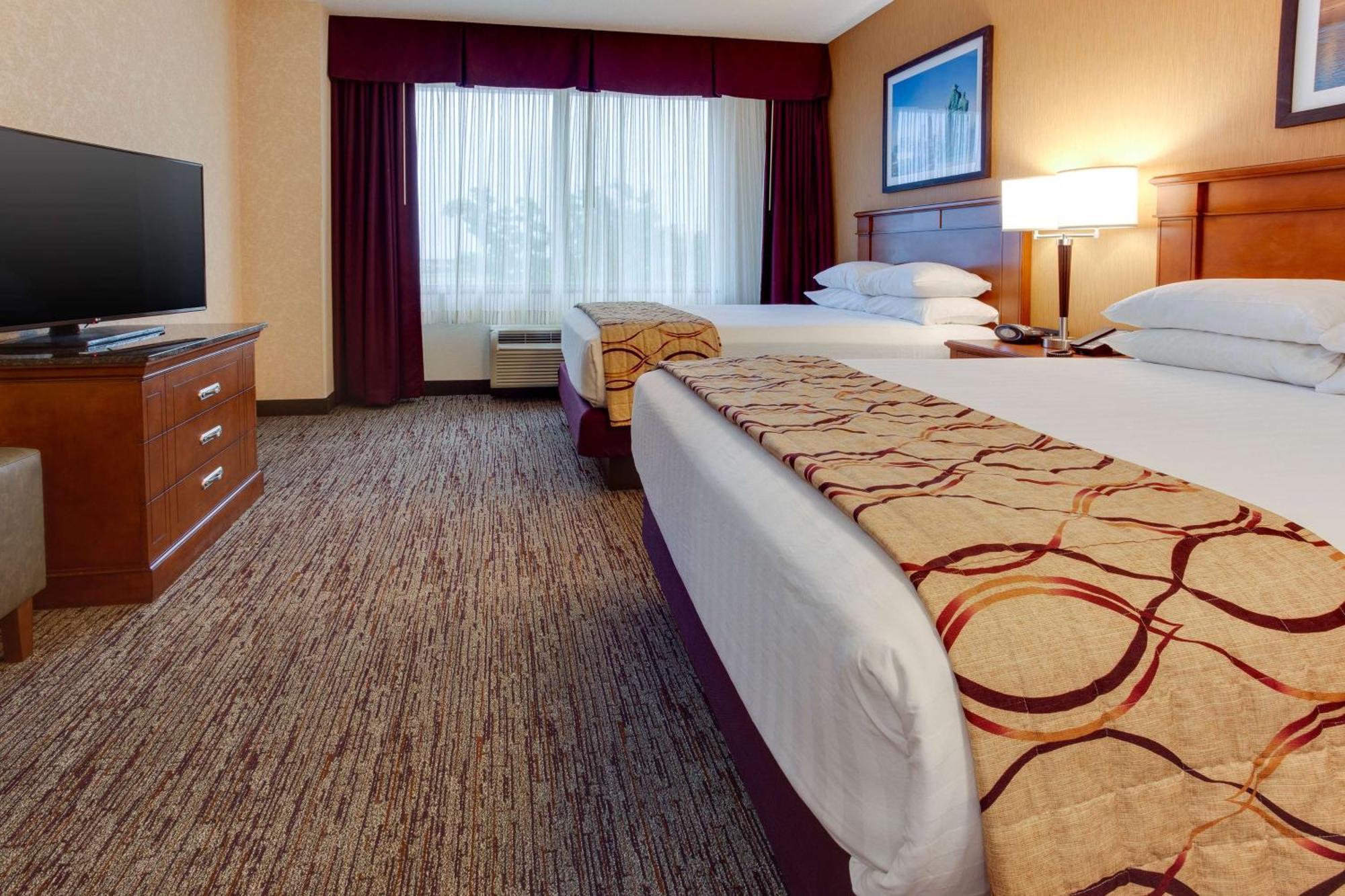 Queen Suite with Sofa Bed