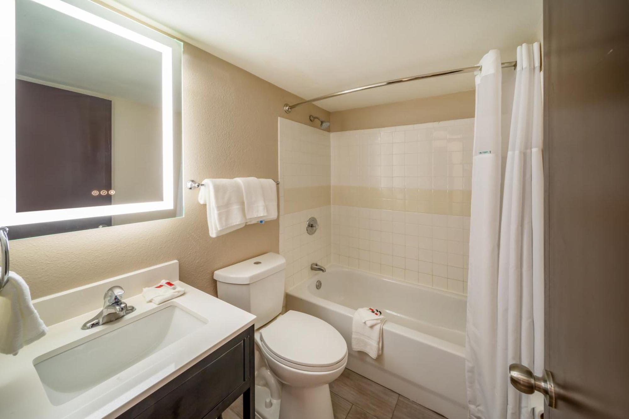 1 King Bed Mobility Accessible Room Roll Shower Non-Smoking