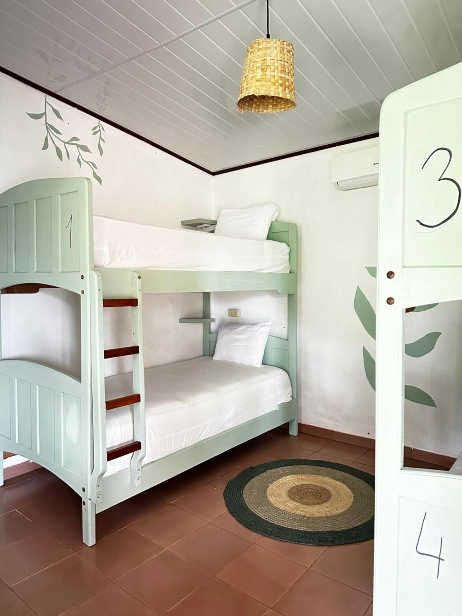 Bunk Bed Mixed Dormitory Room,1613559899:JPEG