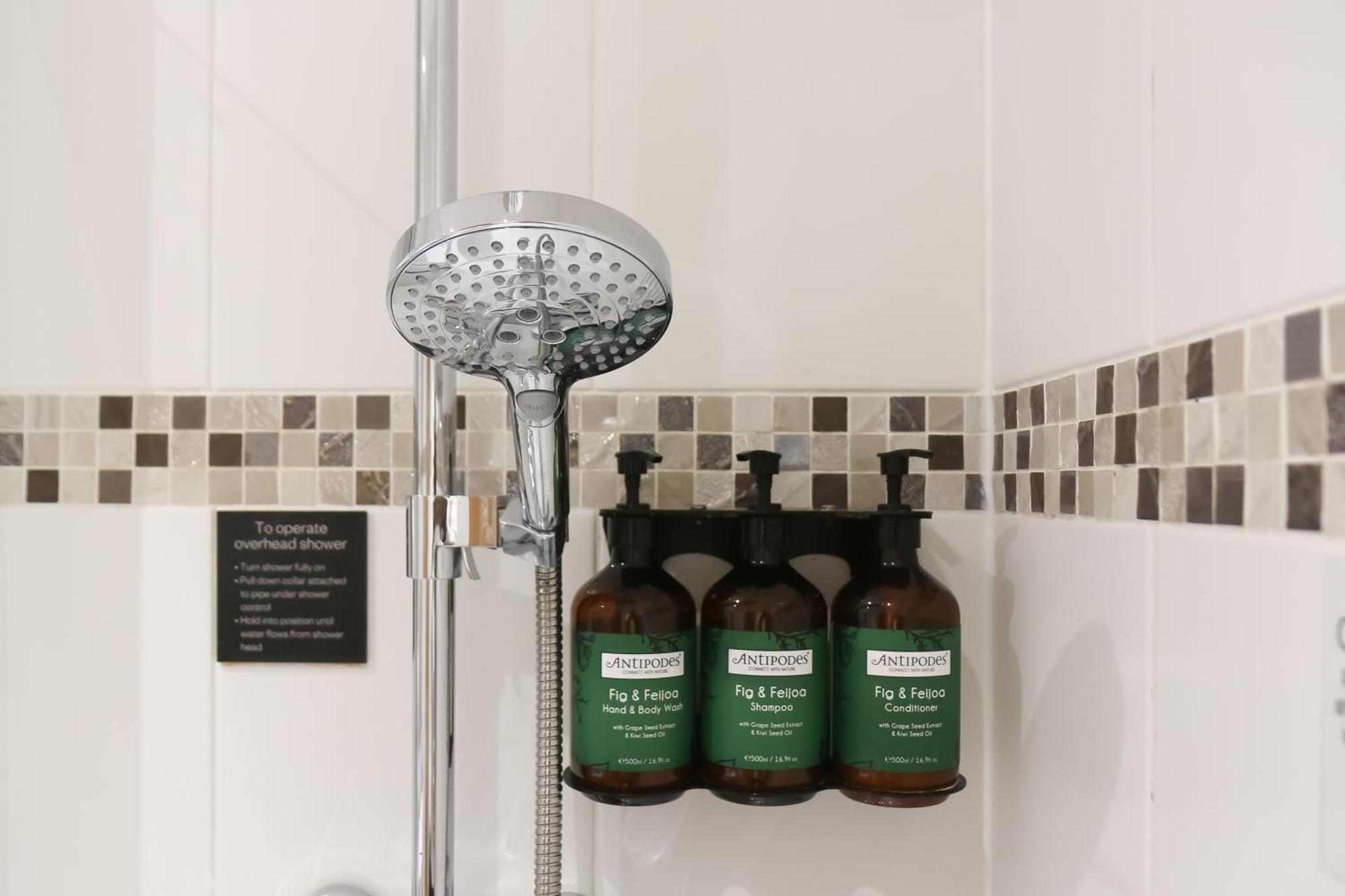 Standard Queen Room Bath Shower Combination