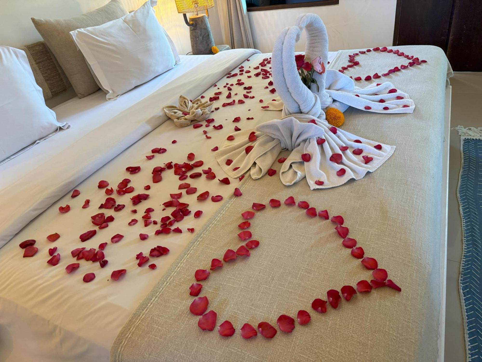 Superior Double or Twin Room Pool View