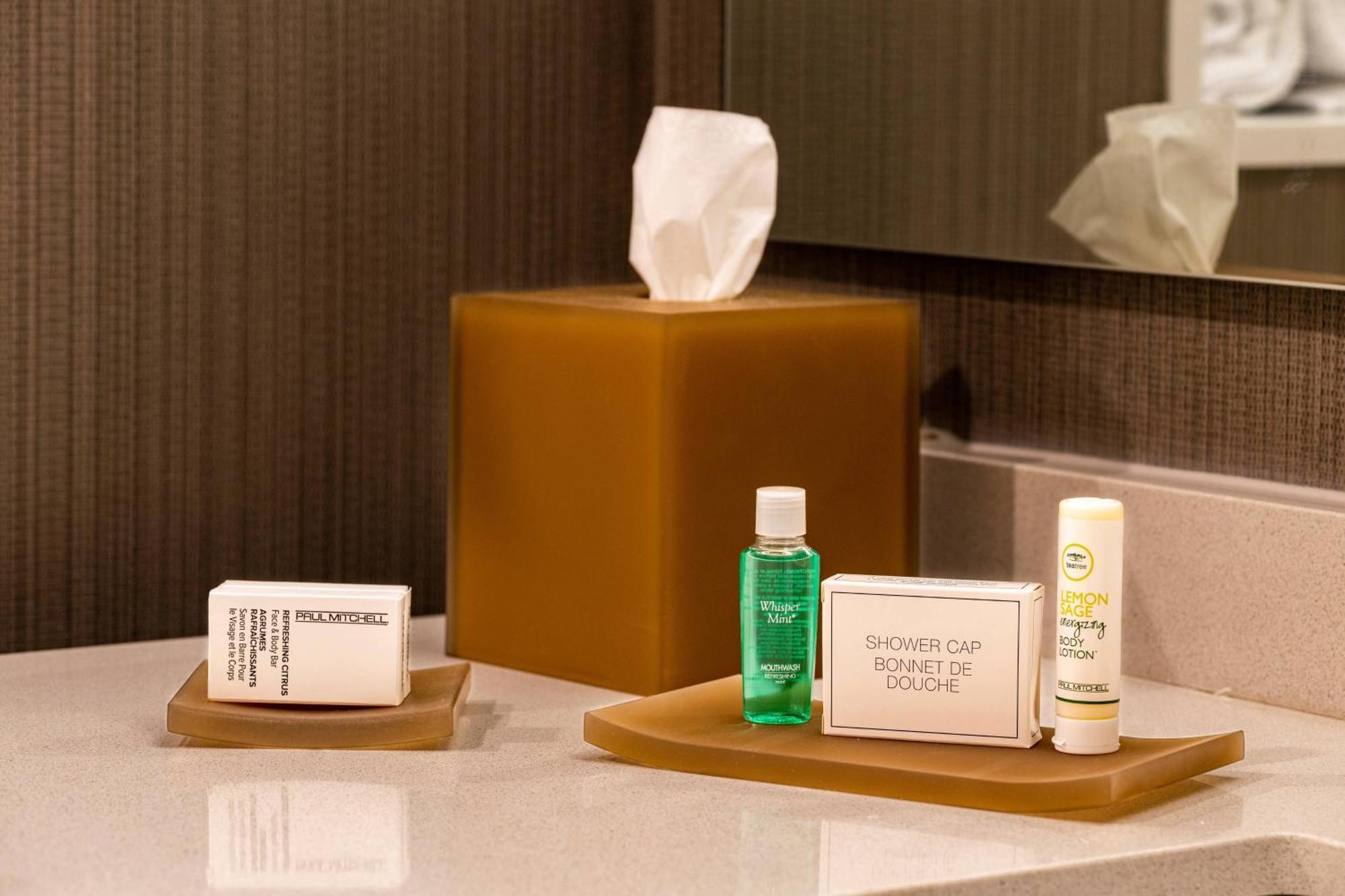King Suite with Bathtub and Sofa Bed - Mobility Access/Hearing Accessible,1632314551:JPEG