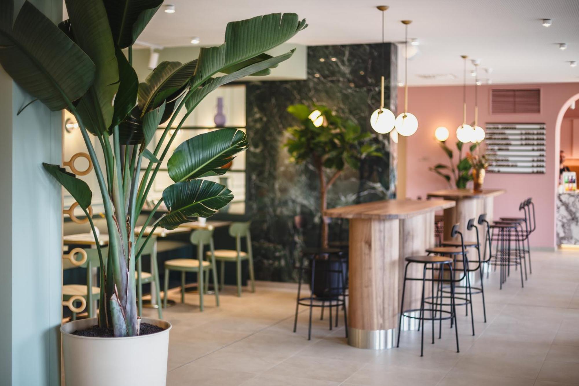Studio Apartment Terasse