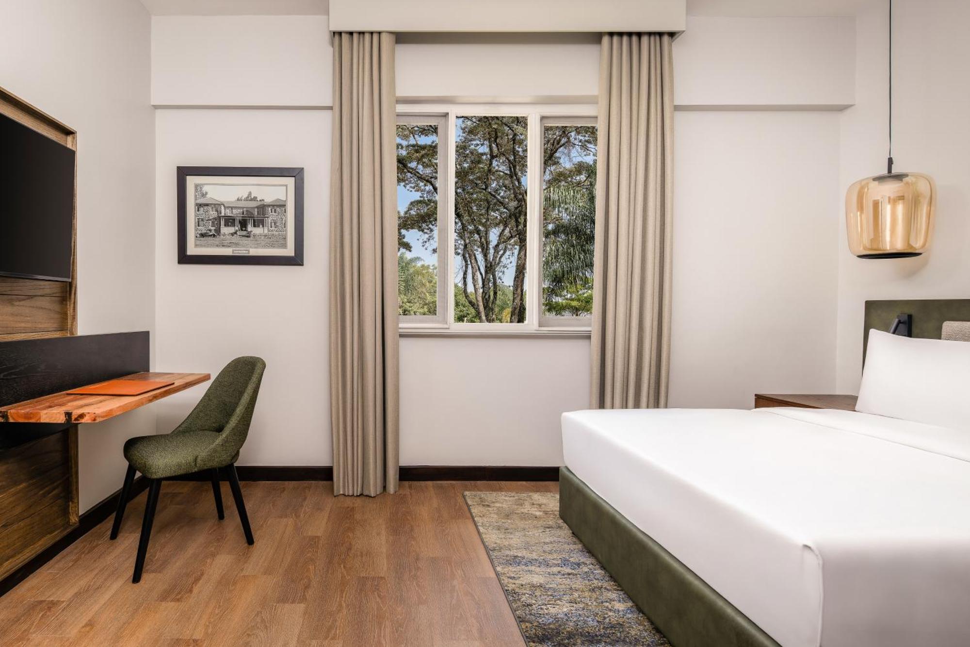 Premium King Room,1743006092:JPEG