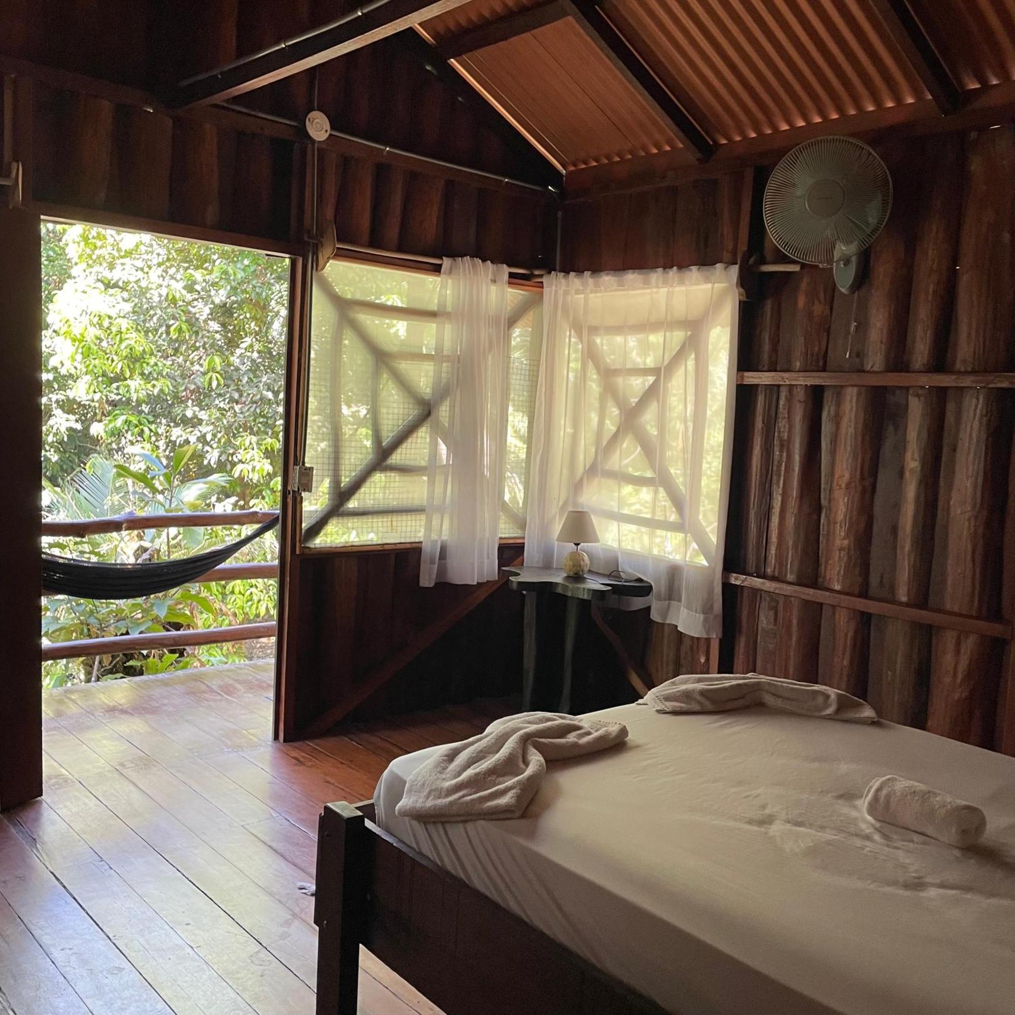 4-Bed Mixed Dormitory Room,1742945265:JPEG