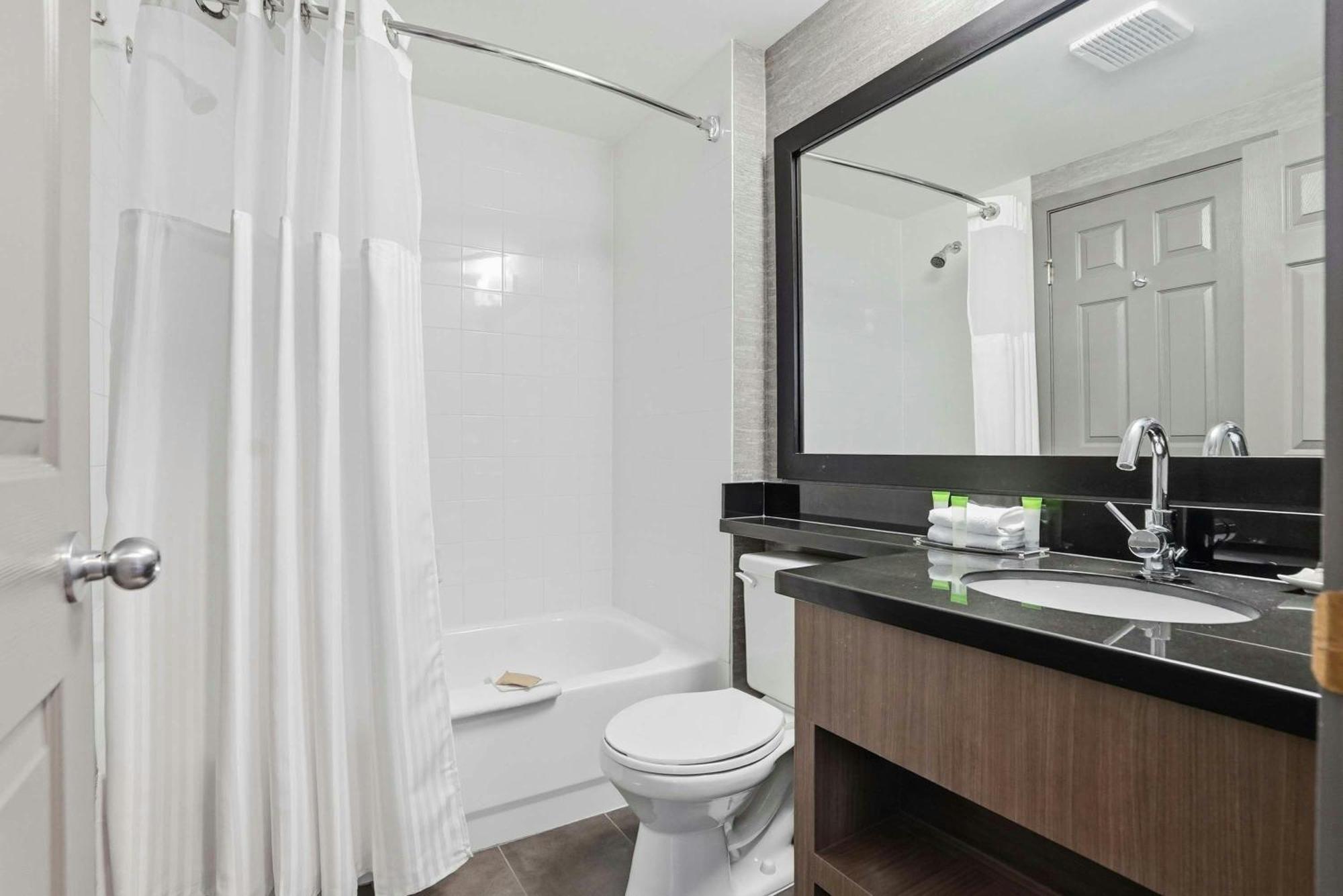 Grand Suite 1 King Bed Sofa Bed Kitchenette
