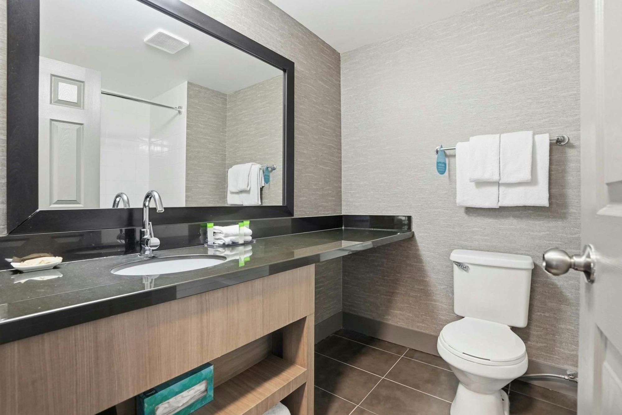 Standard Suite 1 King Bed Sofa Bed Kitchenette