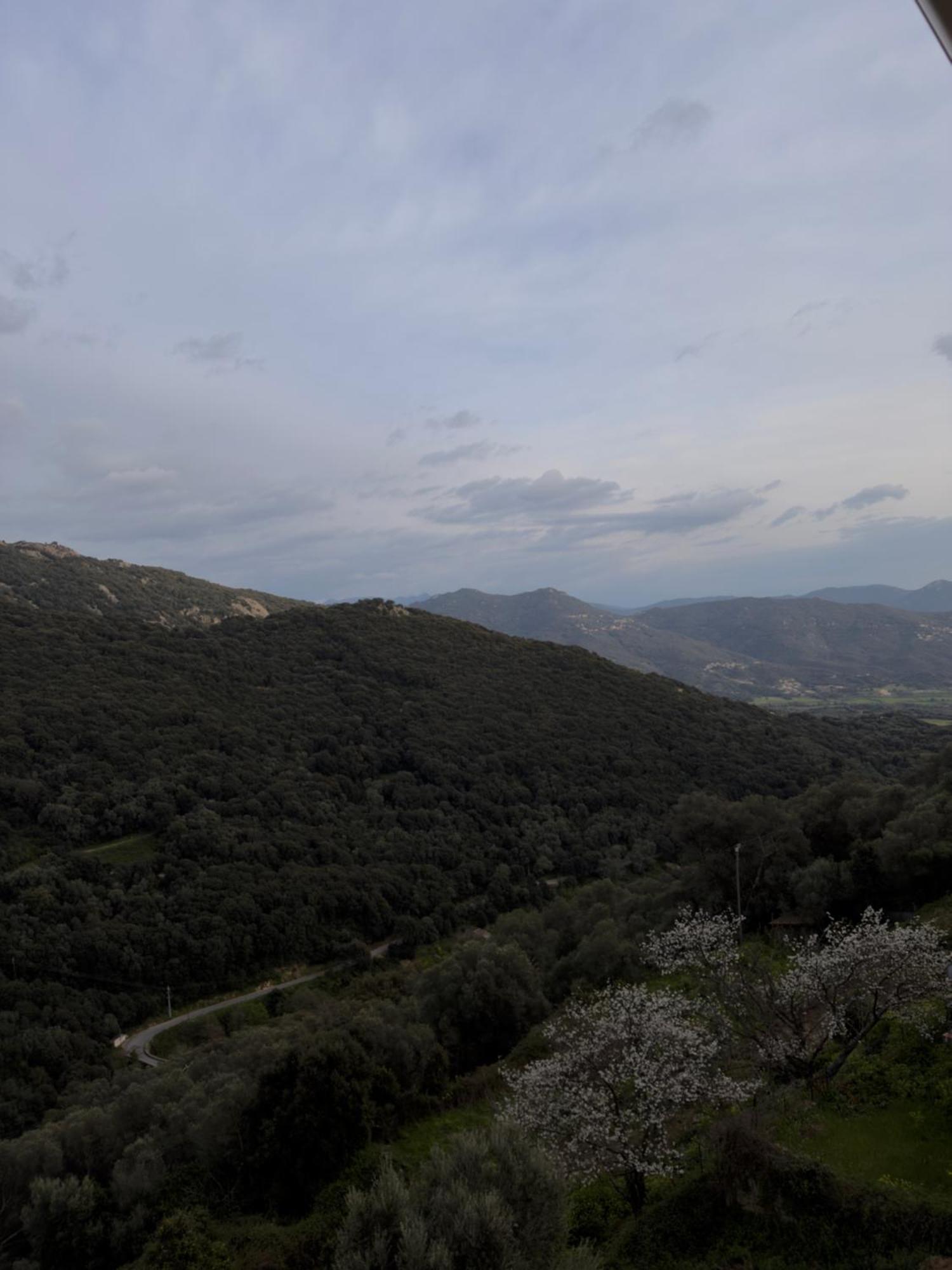 Triple Room Mountain View
