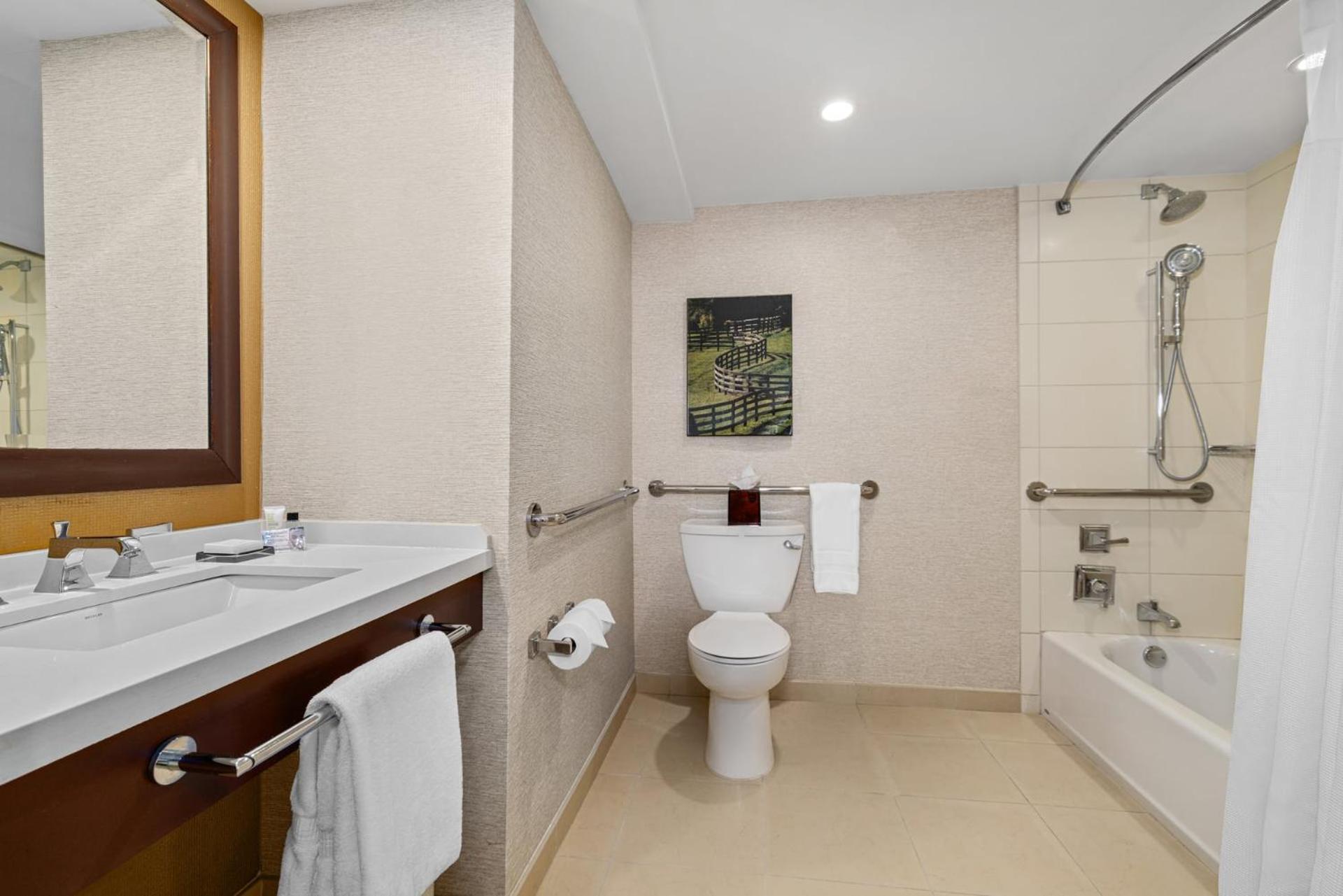 King Room Adapted Tub Mobility Accessible