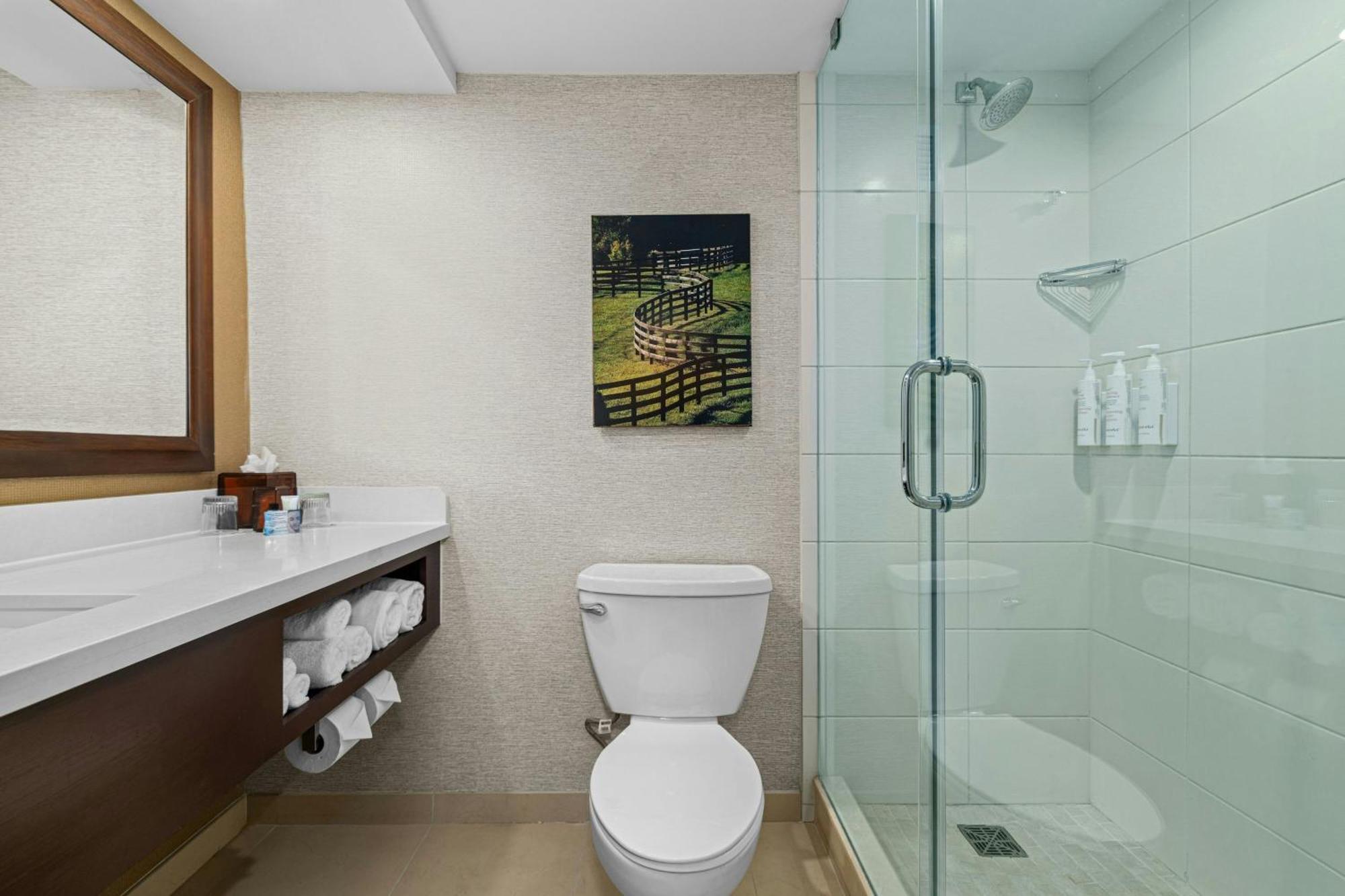 King Room Concierge Level