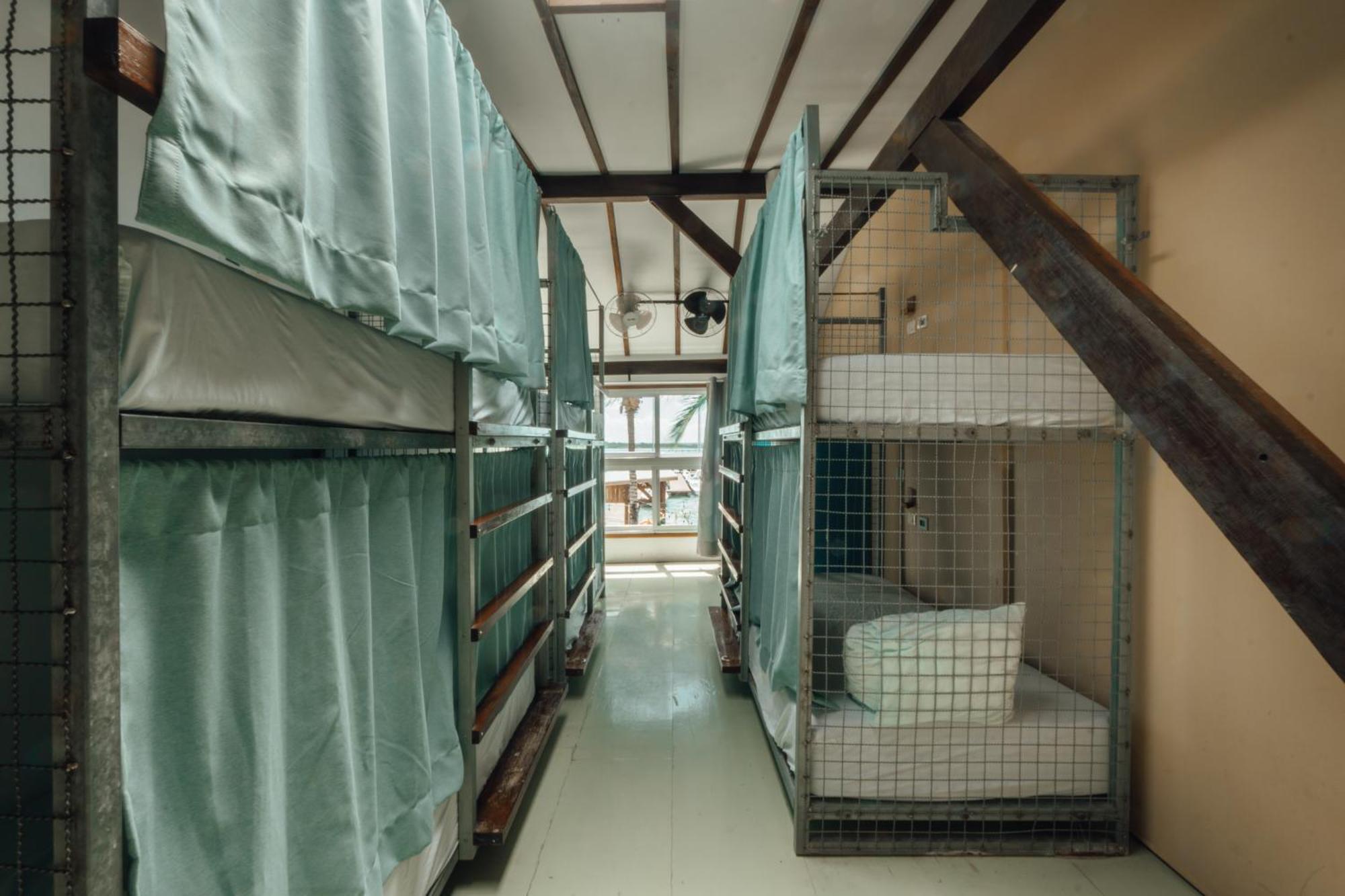 Bed 6-Bed Female Dormitory Room