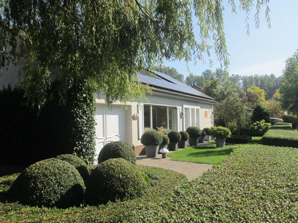 Suite (2 Volwassenen)