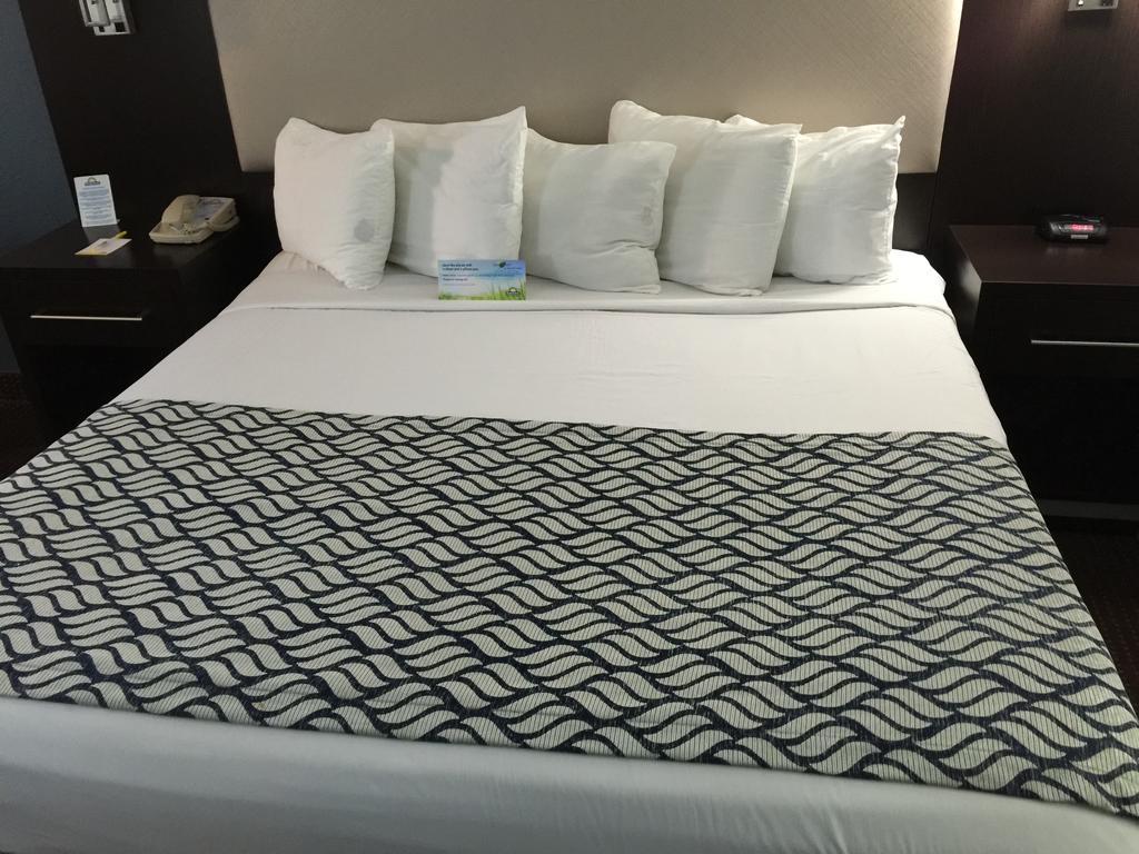 King Room - Non-Smoking