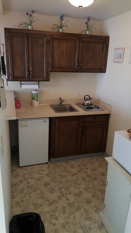 Queen Room Kitchenette Pet Friendly,410872173:JPEG