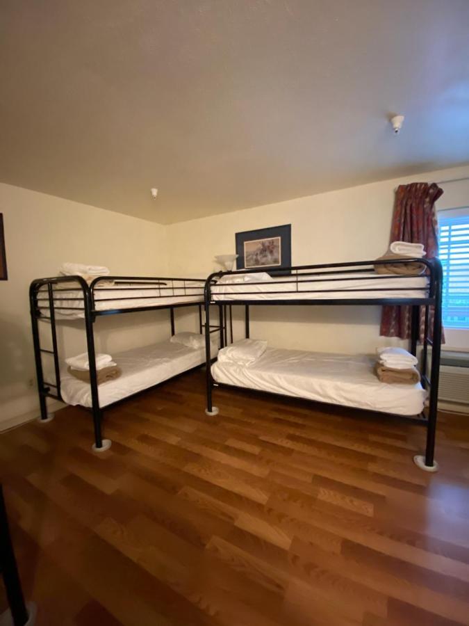 Bunk Bed Female Dormitory Room