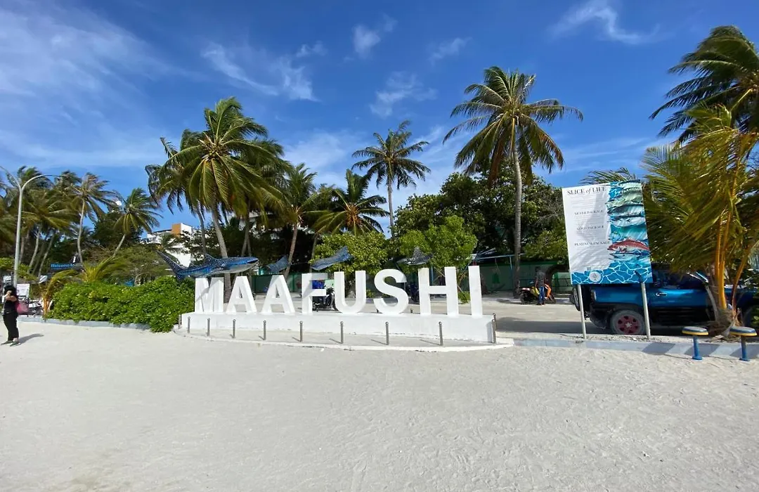 Pelican Beach Maafushi-1