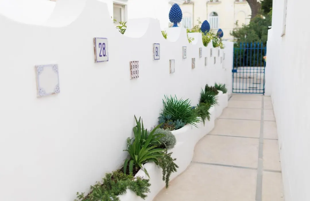 La Pigna Blu-1