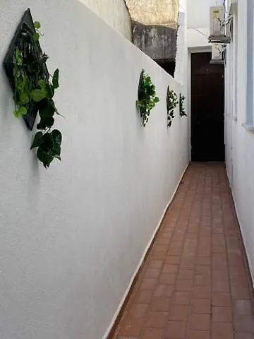 The Tiles House-1
