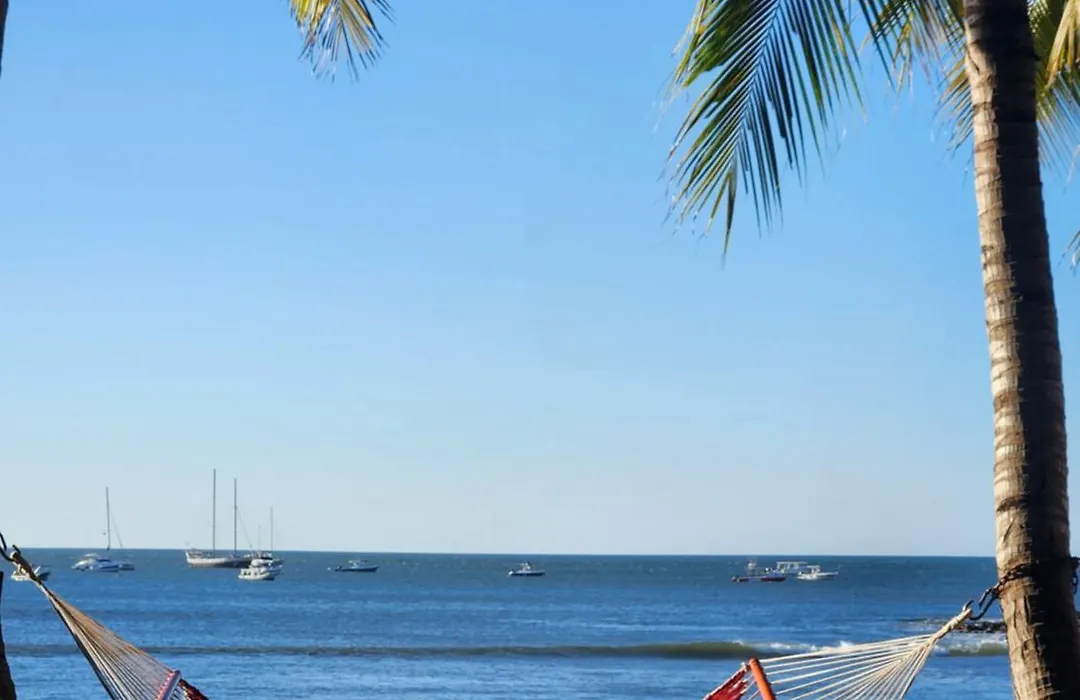 Hotel La Palapa-1