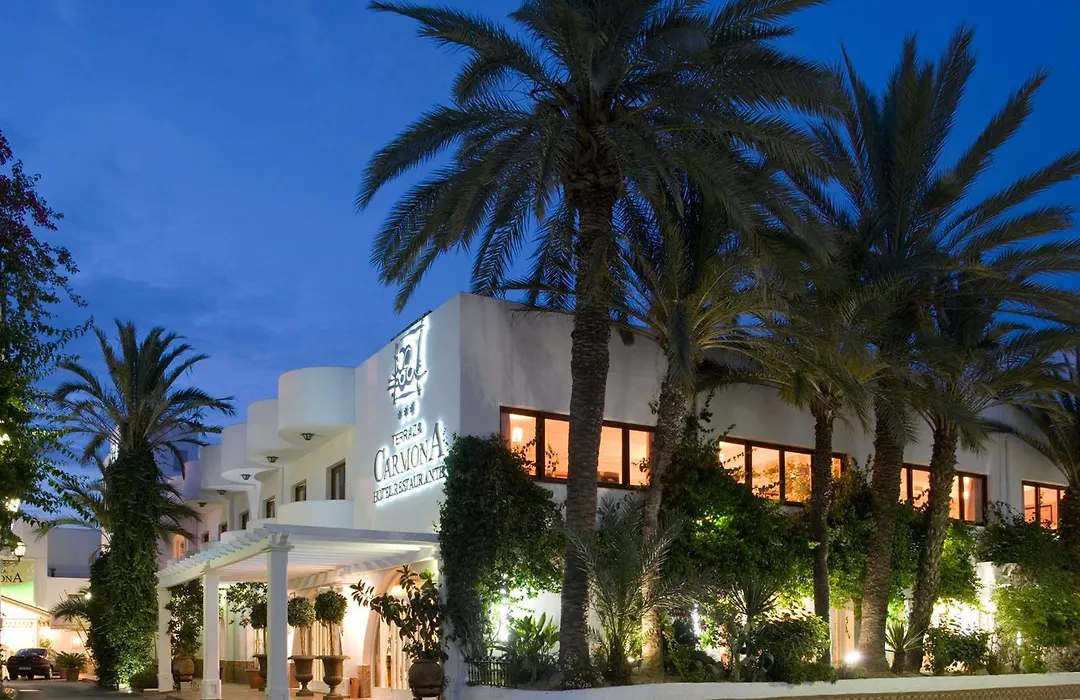 Hotel Terraza Carmona-1