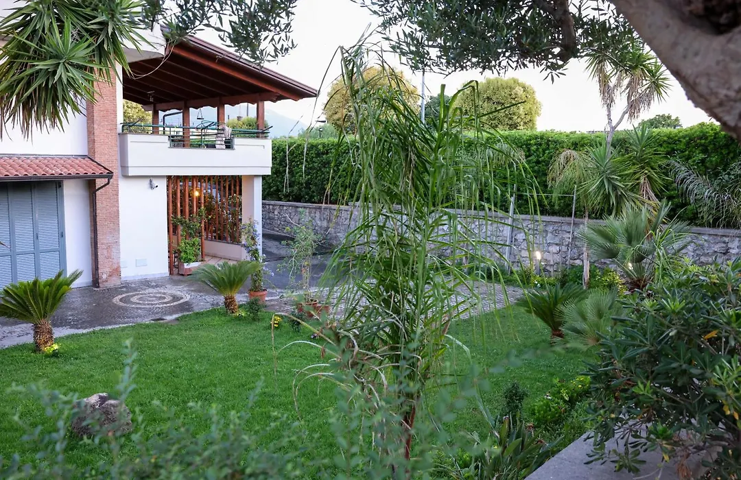 Dream Garden-1