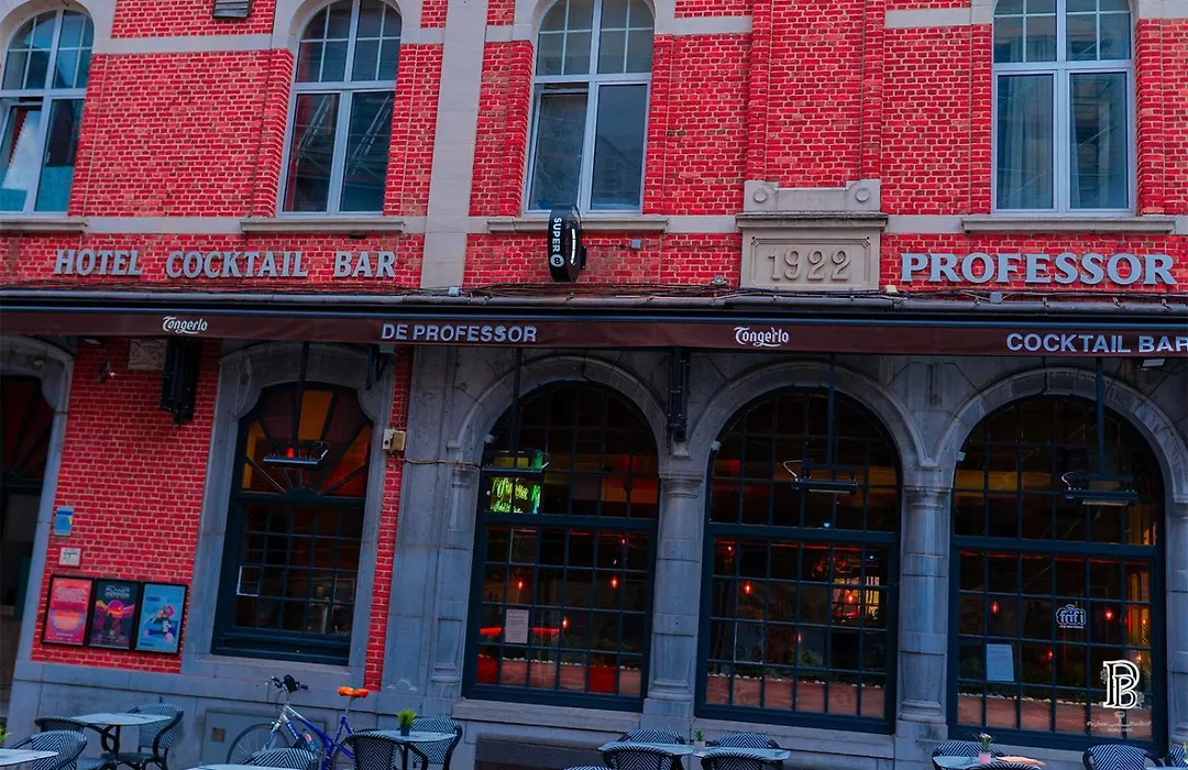 Hotel Professor Leuven Centrum-1