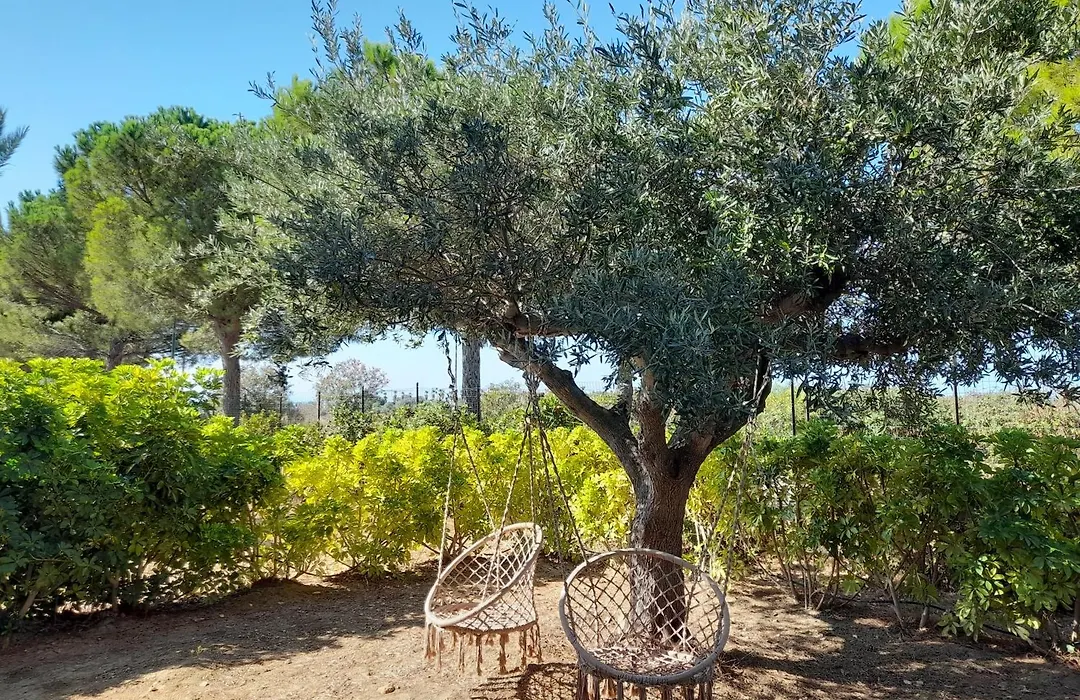 Locanda Degli Scrittori-1