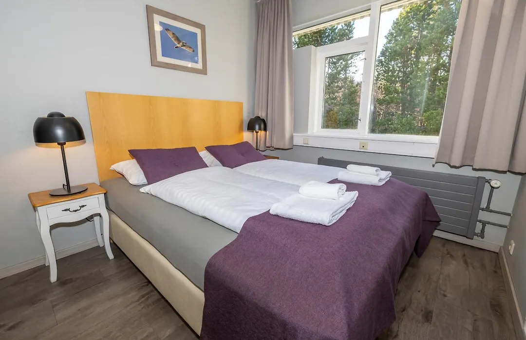 Hotel Kjarnalundur- Aurora Dream - Lodges And Rooms-1