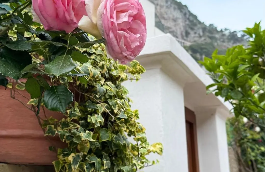 Il Cigno B&B-1