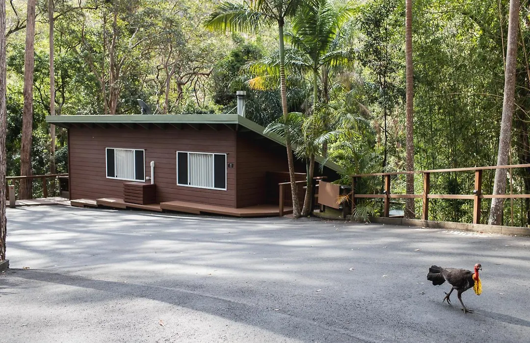 Kondalilla Eco Resort-1