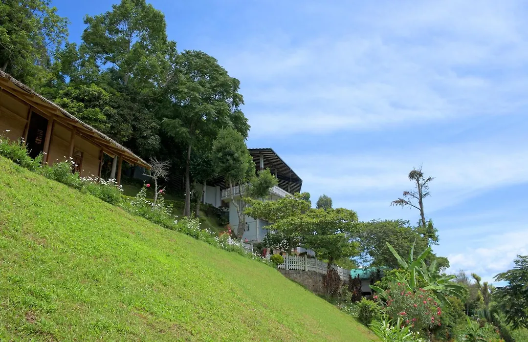 Villa Perpetua-1