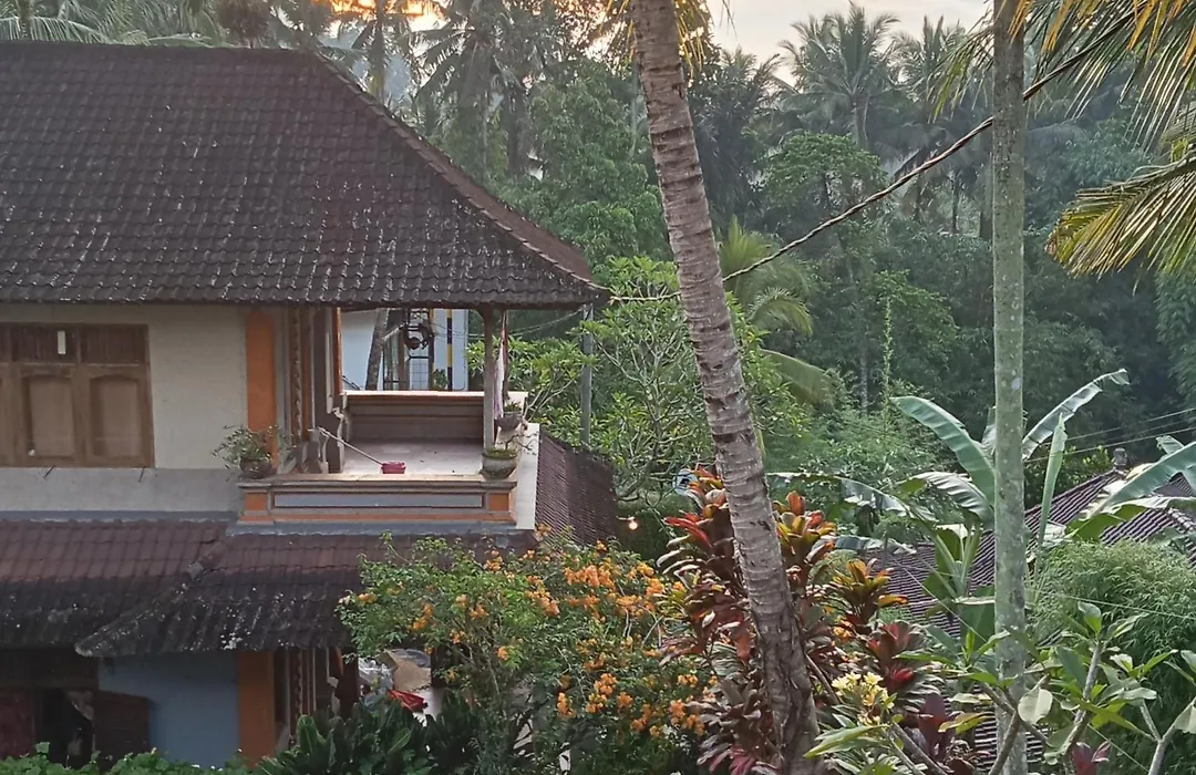 Bella Villas Ubud-1