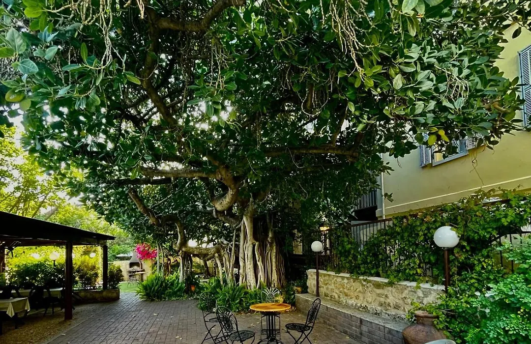 Beit Immanuel-1