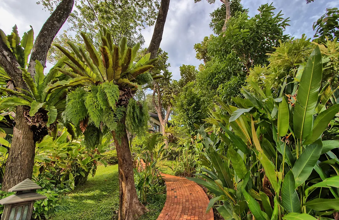 Mangosteen Ayurveda & Wellness Resort - Sha Plus-1