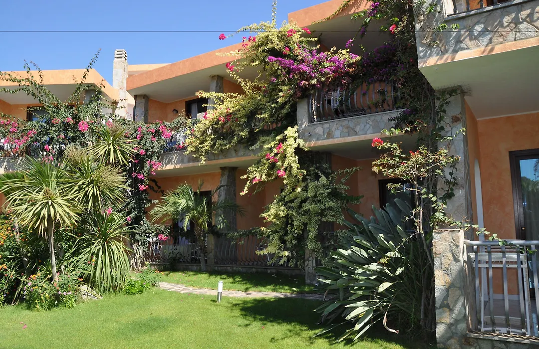 Palm Village-1
