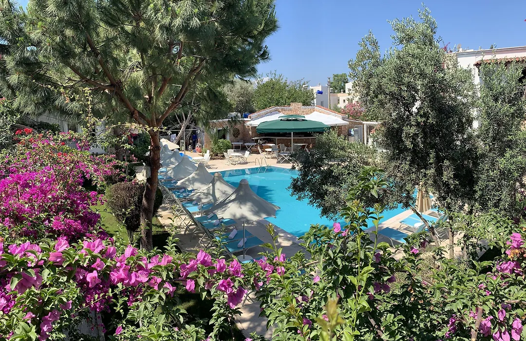 Moonshine Hotel & Suites-1