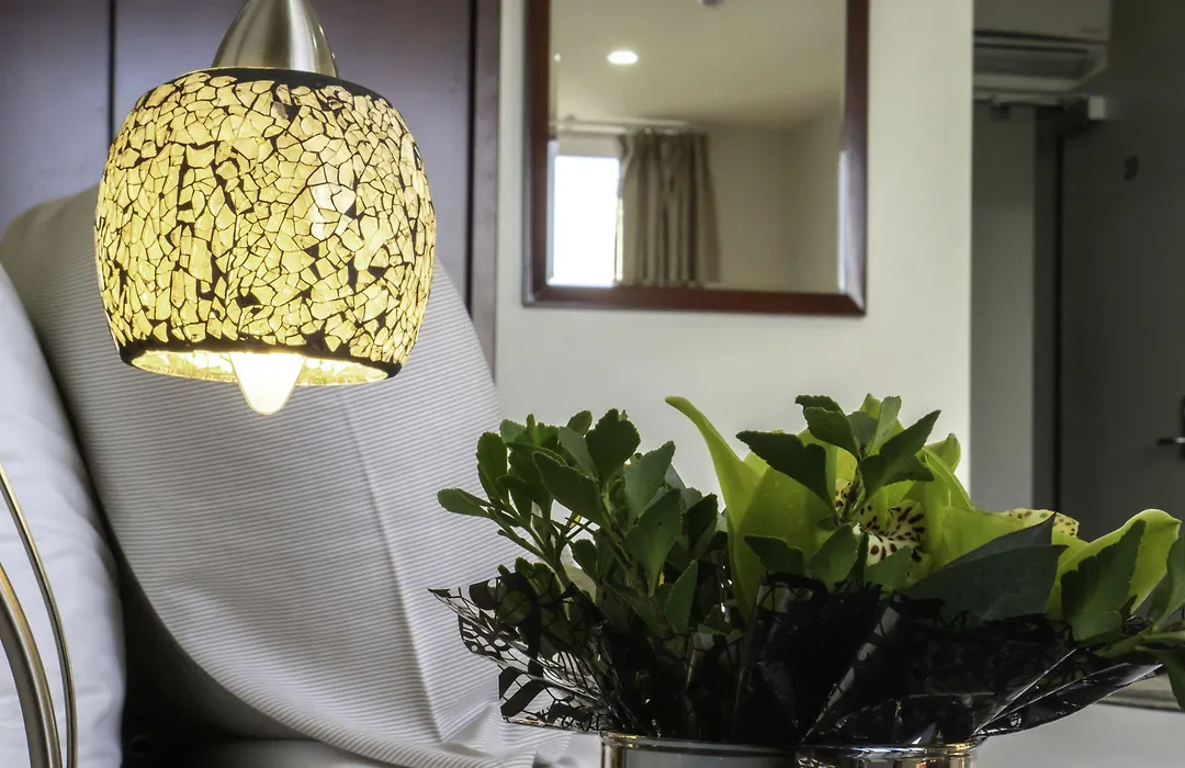 Areca Launceston-1