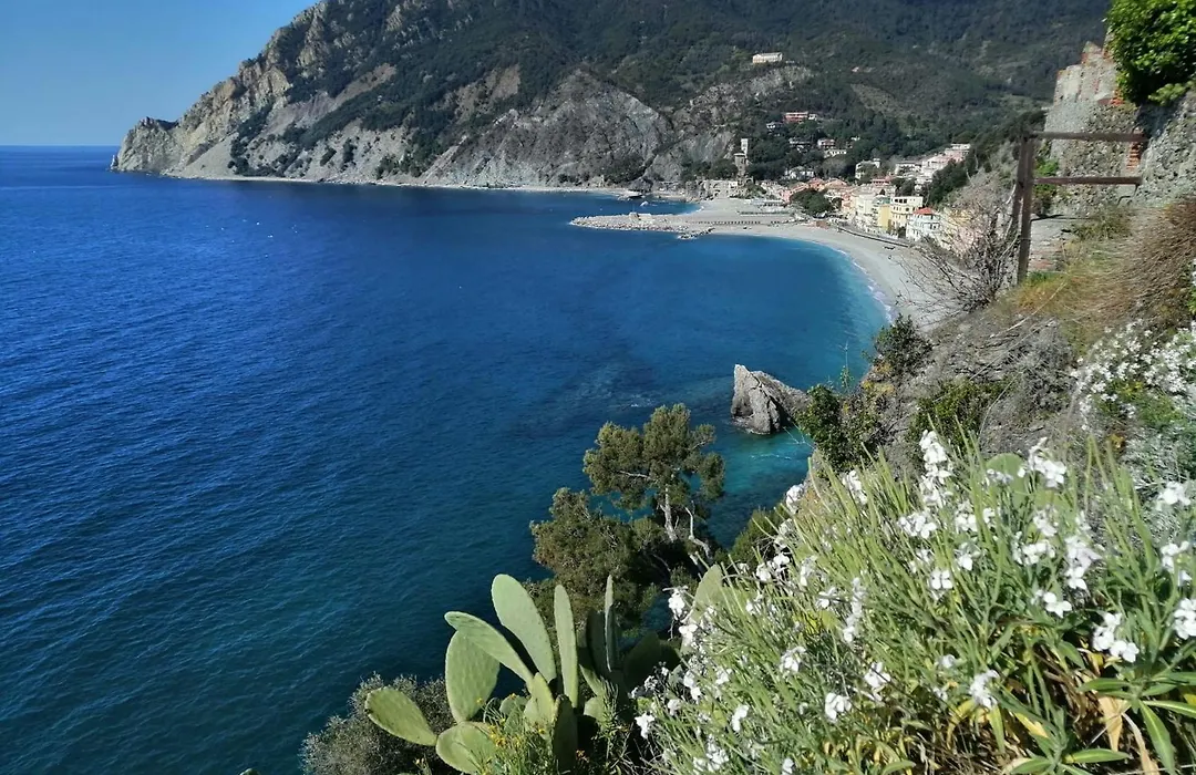 Affittacamere Alle 5 Terre-1
