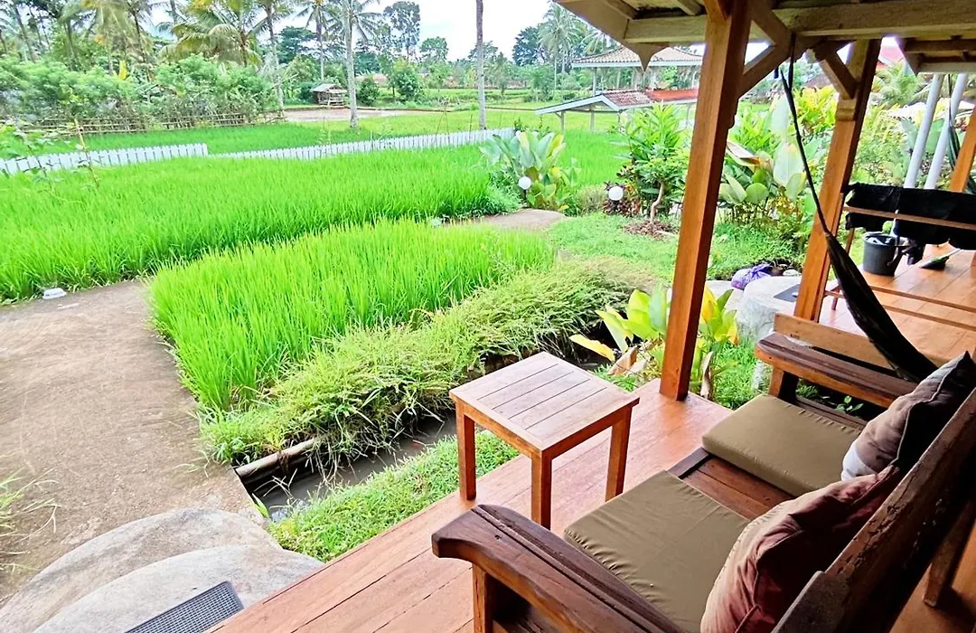 Tetebatu Flush Harmony-1