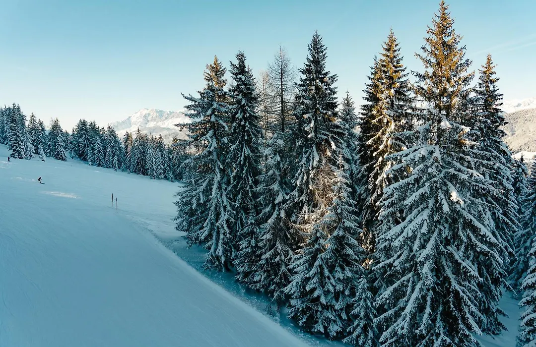 Chalet Auhof-1