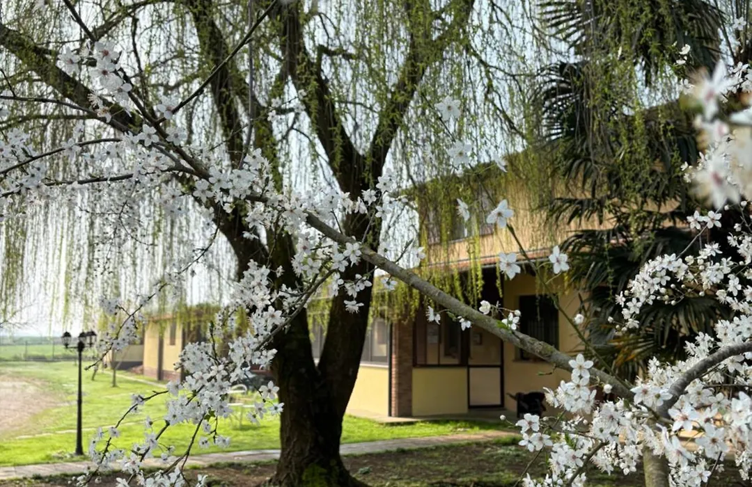 Agri Village Pavia-1