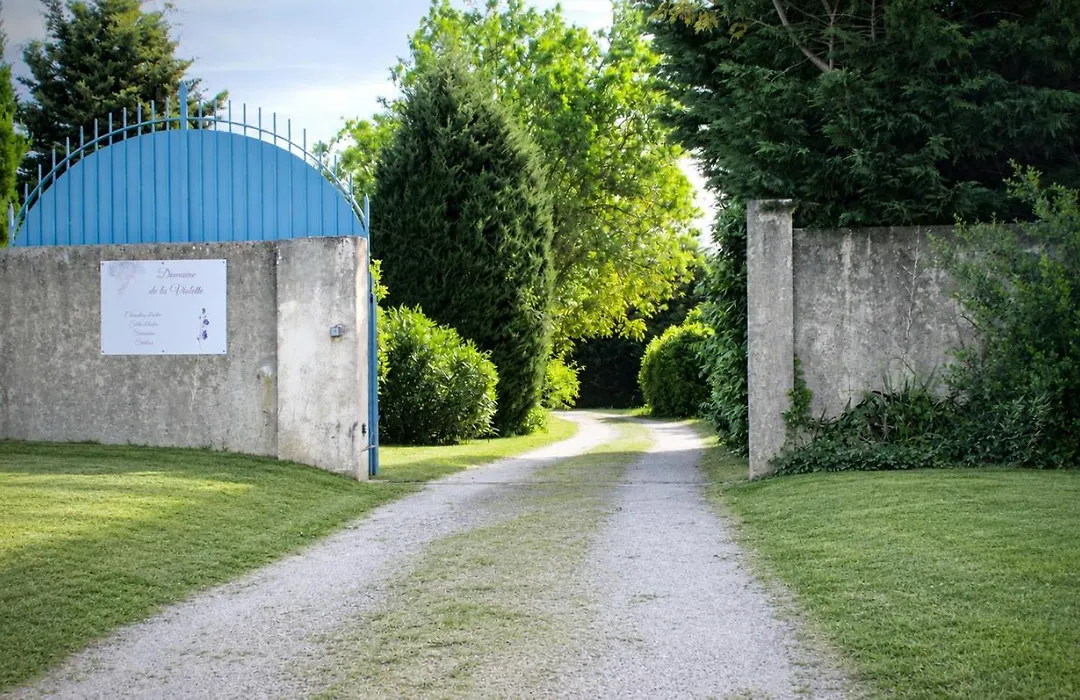 Domaine De La Violette-1