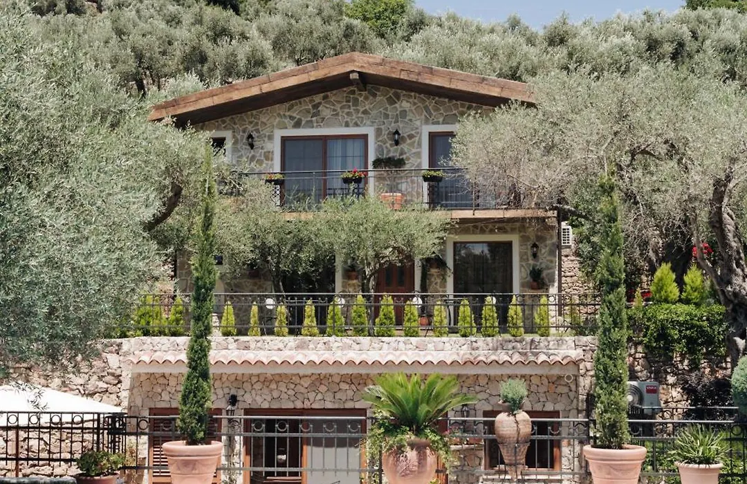 Olive Queen Rustic Estate-1