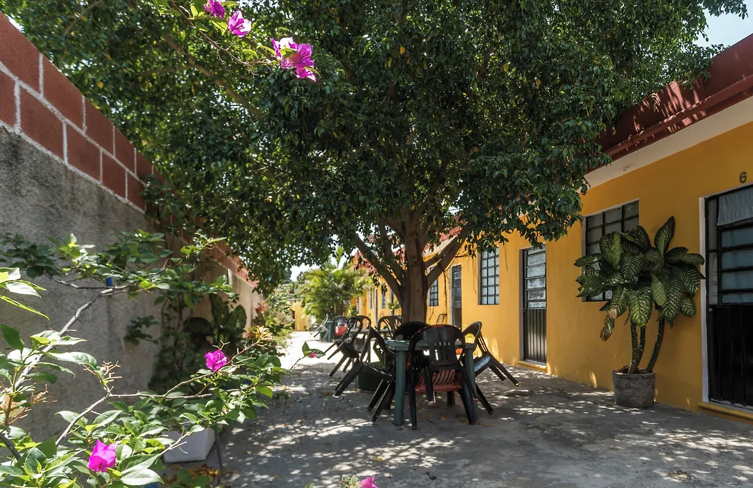 Casa Cuevas&Amaro-1