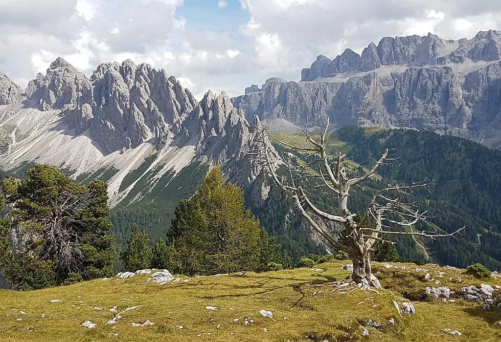 Villa Otto-1