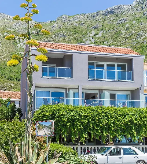 Boutique Flamingo B&B-1