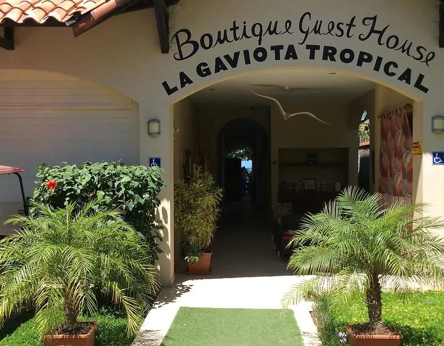 Hotel La Gaviota Tropical-1