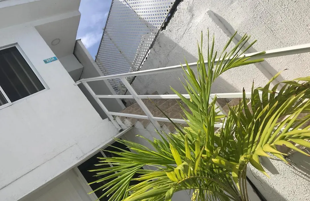 Tropical Dreams-1